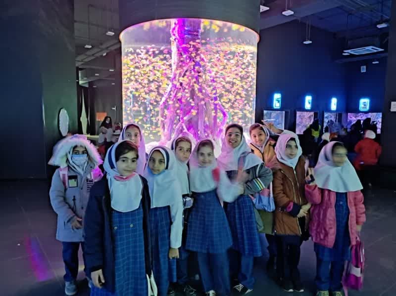 پیش دبستان و دبستان گلهای بهار 